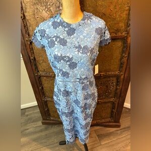 Alexia Admor Floral Lace Midi Dress‎ in Blue 12